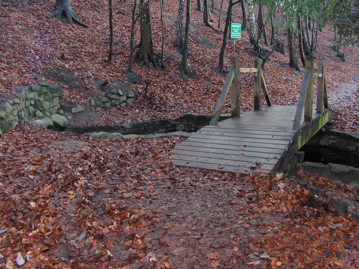 Riesebusch_Wilhelmsquelle.jpg