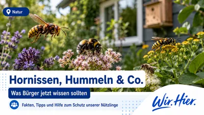 Wir.Hier. Image Jun 30, 2026 at 09_40_23 AM (10).png