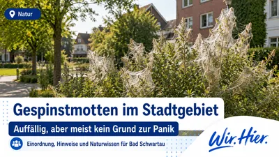 Wir.Hier. Image Jun 30, 2026 at 09_46_28 AM (20).png