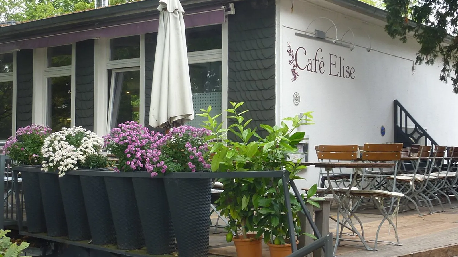 Café Elise
