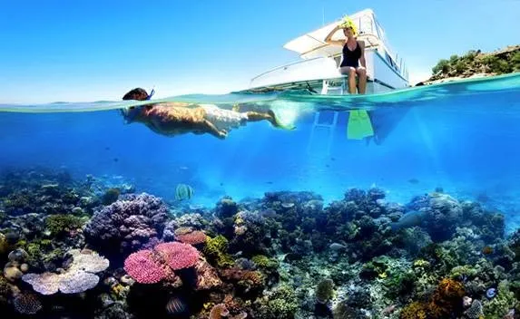 Snorkeln in Puerto Galera