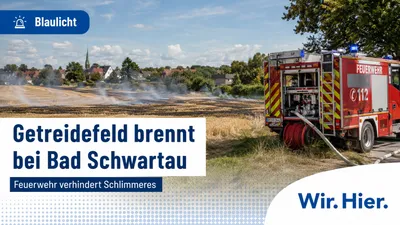 Wir.Hier. Image Jul 13, 2026 at 05_16_02 PM.jpg